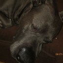 ���� ���������, ����, 48 ��� - ��������� 26 ������� 2014