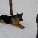 ���� �������, ����, 64 ���� - ��������� 18 ������� 2013 � ������ ���� ����������