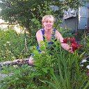 ���� �����, �����-���������, 63 ���� - ��������� 10 ������� 2013 � ������ ���� ����������