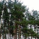 ���� ��������, �����-���������, 54 ���� - ��������� 18 ������ 2014 � ������ ���� ����������