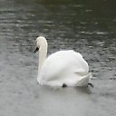 ���� �������, �������� - ��������� 6 �������� 2013 � ������ ���� ����������