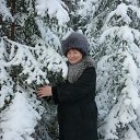 ���� ���������, ��������, 84 ���� - ��������� 1 ������� 2014 � ������ ���� ����������