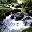 ���� Nugi..., �������, 57 ��� - ��������� 16 �������� 2013 � ������ �Georgia�