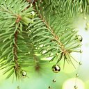 ���� ����, ������, 56 ��� - ��������� 6 ������� 2013 � ������ ������ ��������