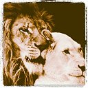 ���� ��������, �������� - ��������� 23 ������� 2014 � ������ ������ ��������