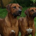 ���� << �����, ���������, 35 ��� - ��������� 31 ������� 2013 � ������ ������� � ������� �������,��� ����� ���� ����� ?? :))�