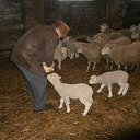 ���� ����, ��������, 74 ���� - ��������� 4 ������ 2014