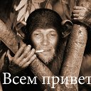 ���� ������, �����-���������, 53 ���� - ��������� 3 ������ 2014 � ������ �������