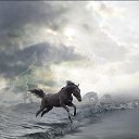 ���� �����, �����-��������� - ��������� 7 ������ 2013 � ������ ����������