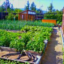 ���� �������� ���������, ����, 83 ���� - ��������� 7 ������� 2013 � ������ �����