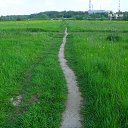 ���� ��������, ������ - ��������� 18 ������ 2014 � ������ ���� ����������