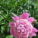 ���� ���������, ���������������, 61 ��� - ��������� 28 ������ 2014 � ������ ������