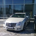 ���� �������, �����������, 36 ��� - ��������� 26 �������� 2013
