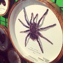 ���� ������, �����-���������, 33 ���� - ��������� 3 ������� 2013 � ������ ���� ����������