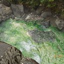 ������� ��������� �������� �� �. ������ �� ������� ��. ������