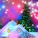 ������ ������ �� ������� ��������