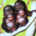 ���� ����, �������, 57 ��� - ��������� 24 ������� 2013 � ������ ���� ����������