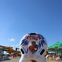 ���� ���������, �����, 51 ��� - ��������� 11 �������� 2013 � ������ ���� ����������