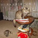 ���� ������� �., ����� - ��������� 14 ������� 2013 � ������ ���� ���� � ������ ��������