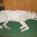 ���� Vitaliy, �������, 63 ���� - ��������� 8 ������� 2013 � ������ ���� ��������� � �� ��������� �������