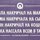  , , 53  -  6  2013    