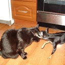 ���� �����, �����-��������� - ��������� 3 ������ 2013 � ������ ���� ����� � ���