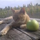 ���� ������, �����-��������� - ��������� 9 ������ 2013 � ������ ����