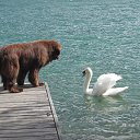 �� ����� �����. ��� ��� ������� � ��������� ����))) �� ������� ���� ����������