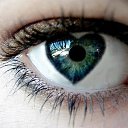 ���� ����������, ��������, 37 ��� - ��������� 6 ������� 2013