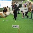 ���� �������, ������������, 44 ���� - ��������� 26 ������ 2013