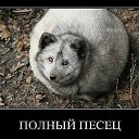 ���� ���, ������������, 30 ��� - ��������� 2 �������� 2013 � ������ ���� ����������