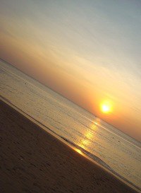 ���������, ���������, 47 ���