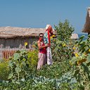 ���� ���, ����������, 46 ��� - ��������� 6 �������� 2013 � ������ ���� ����������