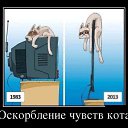 ���� ��� 0007, ���, 38 ��� - ��������� 3 ������ 2013 � ������ ���� ����������