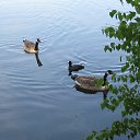Hamburg,Bramfelder See �� ������� ������ ��������