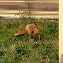���� U-jin, ������, 54 ���� - ��������� 13 ������� 2013 � ������ ���� ����������