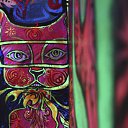 ���� ���� �� ������� ���� ����������