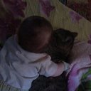 ���� ��������, ���������, 31 ��� - ��������� 19 ������� 2014 � ������ ���� ����������