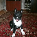 ���� �����, �����������, 47 ��� - ��������� 27 ������ 2014 � ������ ������ ��������