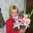 ���� ������, ���������� ���� - ��������� 8 ������� 2013 � ������ ���� ����������