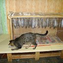 ���� ��������, �������������� - ��������� 14 ������� 2013