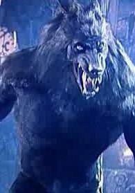 ���� Werewolf, ��������, 36 ��� - ��������� 10 �������� 2013