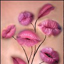 ���� �������, �����-���������, 54 ���� - ��������� 2 ������� 2014 � ������ ���� ����������