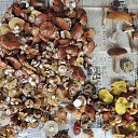 ��� �����. �� ������� ���� ����������