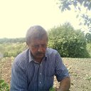 ���� C���, ������������, 56 ��� - ��������� 31 ������� 2013 � ������ ���� ����������