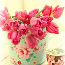 ���� ����, ������, 67 ��� - ��������� 8 ����� 2014 � ������ ������ ��������