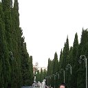 ���� �����, �����, 42 ���� - ��������� 18 ������� 2013 � ������ ���� ����������