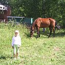 ���� �����, �����, 43 ���� - ��������� 27 ������� 2013 � ������ ����