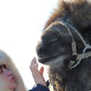 ���� �������, ������, 68 ��� - ��������� 10 ����� 2014