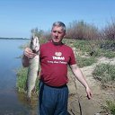  Sergei ......., , 54  -  1  2013    